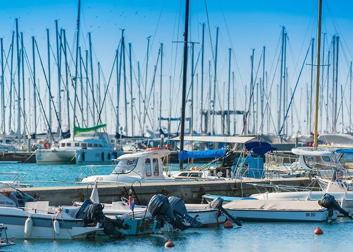 Garden Palace 3* אומאג